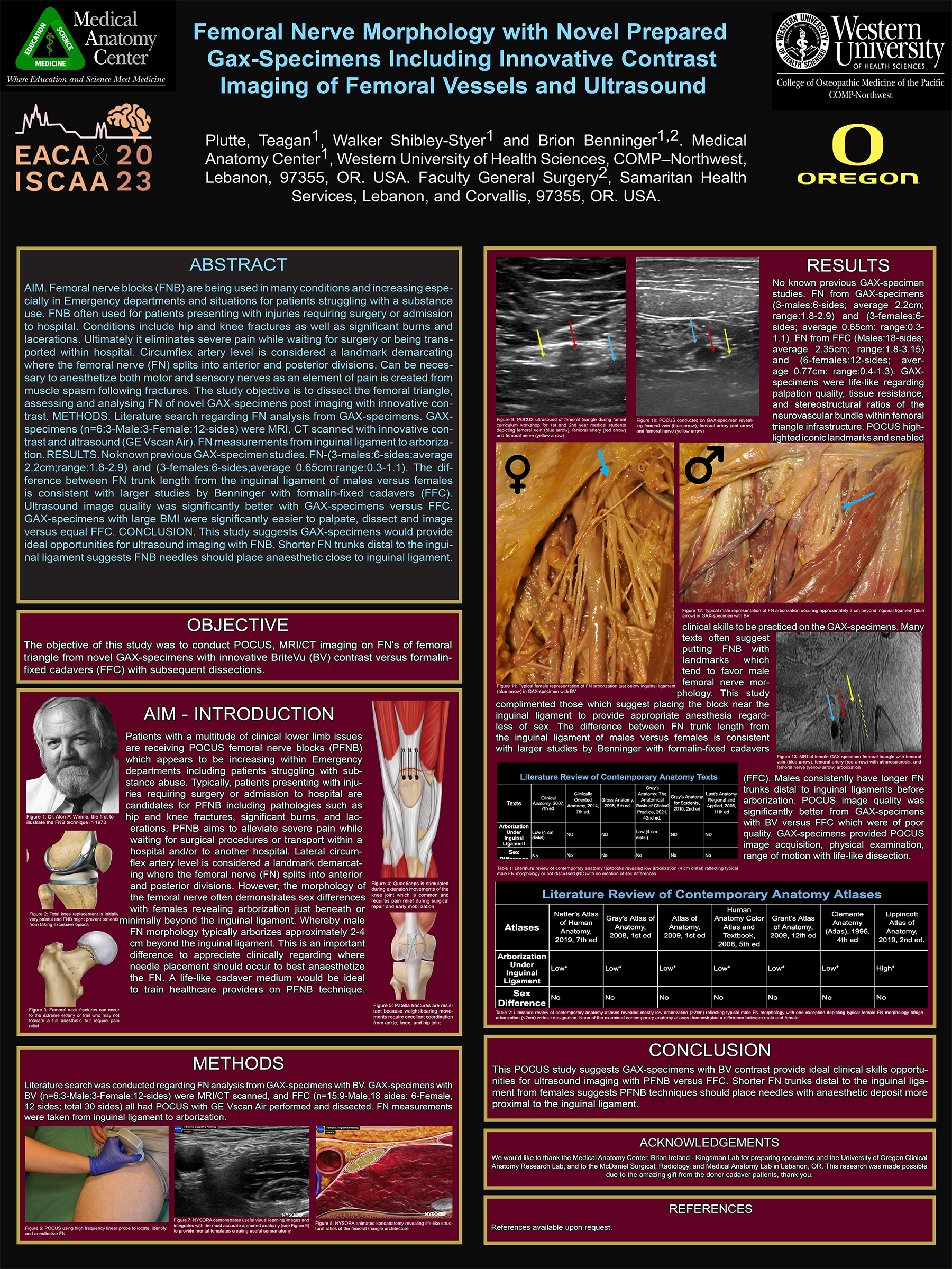Femoral nerve morphology research poster (2023)