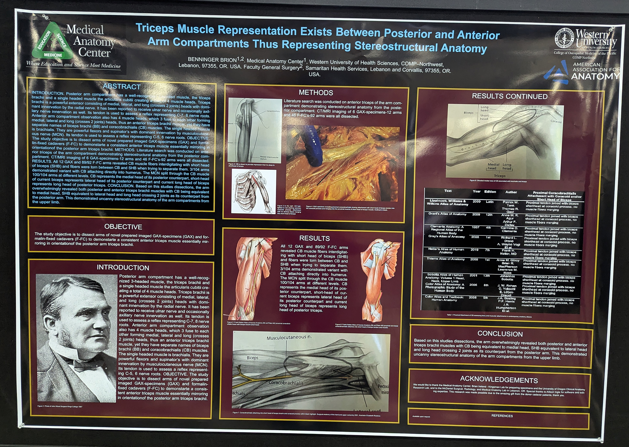 GAX and human triceps muscles research poster (2025)