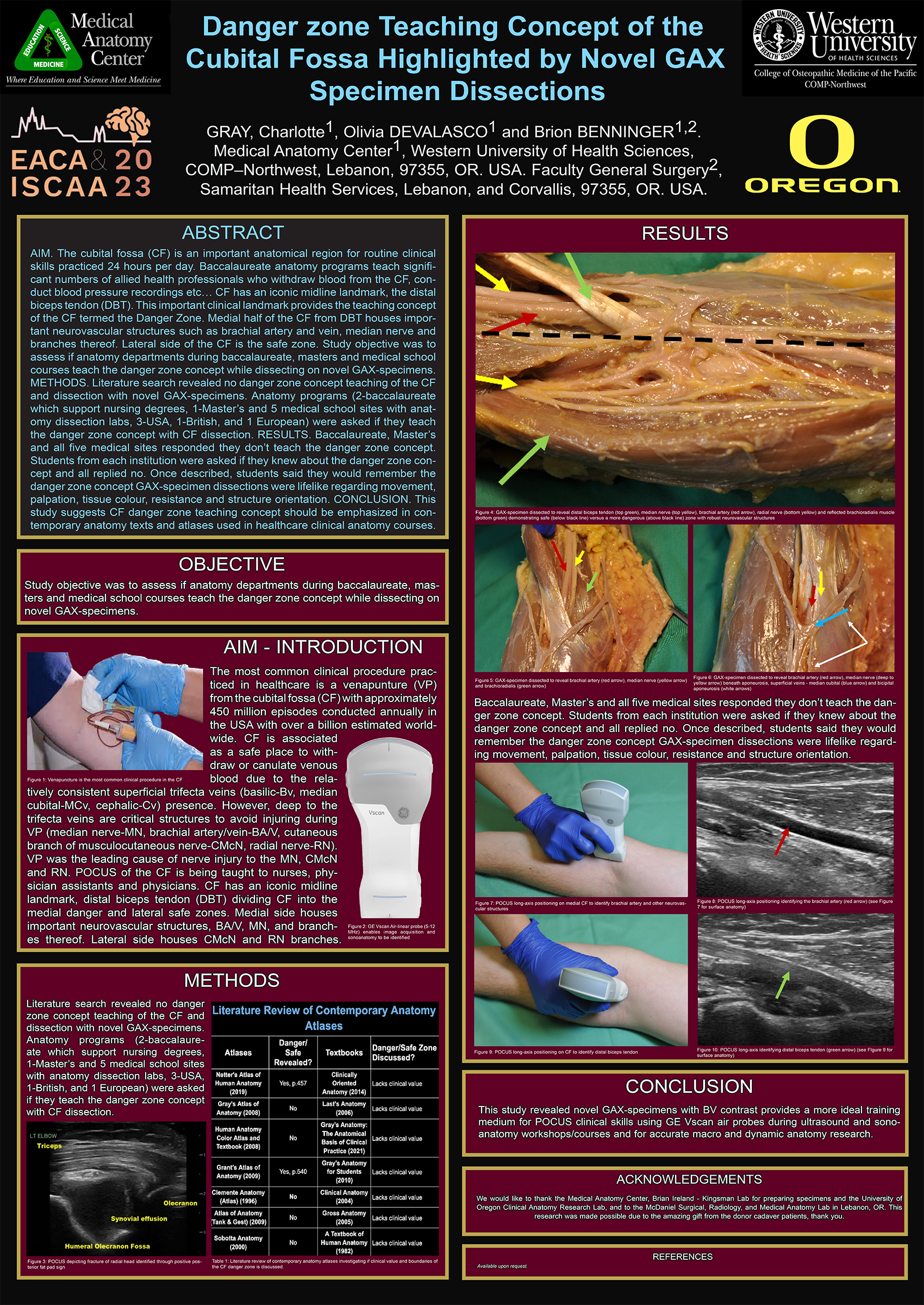 Cubital fossa research poster (2023)